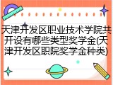 天津开发区职业技术学院共开设有哪些类型奖学金(天津开发区职院奖学金种类)