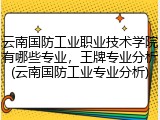 云南国防工业职业技术学院有哪些专业，王牌专业分析(云南国防工业专业分析)