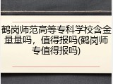 鹤岗师范高等专科学校含金量量吗，值得报吗(鹤岗师专值得报吗)