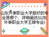 山东外事职业大学最好的专业是哪个，详细阐述(山东外事职业大学王牌专业)