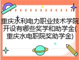 重庆水利电力职业技术学院开设有哪些奖学和助学金(重庆水电职院奖助学金)