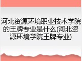 河北资源环境职业技术学院的王牌专业是什么(河北资源环境学院王牌专业)