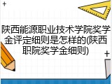 陕西能源职业技术学院奖学金评定细则是怎样的(陕西职院奖学金细则)