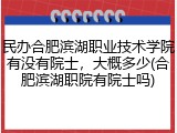 民办合肥滨湖职业技术学院有没有院士，大概多少(合肥滨湖职院有院士吗)