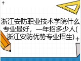 浙江安防职业技术学院什么专业最好，一年招多少人(浙江安防优势专业招生)