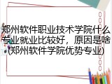 郑州软件职业技术学院什么专业就业比较好，原因是啥(郑州软件学院优势专业)