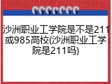 沙洲职业工学院是不是211或985高校(沙洲职业工学院是211吗)