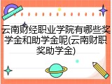 云南财经职业学院有哪些奖学金和助学金呢(云南财职奖助学金)