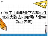 石家庄工商职业学院毕业生就业大致去向如何(毕业生就业去向)