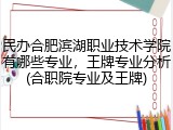 民办合肥滨湖职业技术学院有哪些专业，王牌专业分析(合职院专业及王牌)