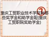 重庆工贸职业技术学院有哪些奖学金和助学金呢(重庆工贸职院奖助学金)