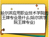 哈尔滨应用职业技术学院的王牌专业是什么(哈尔滨学院王牌专业)