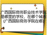 广西国际商务职业技术学院是哪里的学校，在哪个城市(广西国际商务学院在哪)
