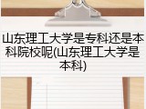 山东理工大学是专科还是本科院校呢(山东理工大学是本科)