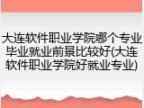 大连软件职业学院哪个专业毕业就业前景比较好(大连软件职业学院好就业专业)