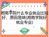 湘南学院什么专业就业比较好，原因是啥(湘南学院好就业专业)