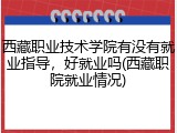 西藏职业技术学院有没有就业指导，好就业吗(西藏职院就业情况)