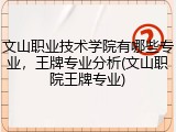 文山职业技术学院有哪些专业，王牌专业分析(文山职院王牌专业)