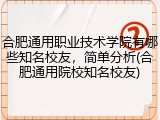 合肥通用职业技术学院有哪些知名校友，简单分析(合肥通用院校知名校友)