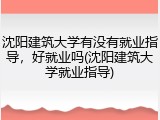 沈阳建筑大学有没有就业指导，好就业吗(沈阳建筑大学就业指导)