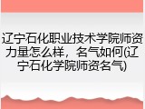 辽宁石化职业技术学院师资力量怎么样，名气如何(辽宁石化学院师资名气)