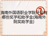 海南外国语职业学院开设有哪些奖学和助学金(海南外院奖助学金)