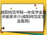 咸阳师范学院一年奖学金最多能拿多少(咸阳师范奖学金最高)