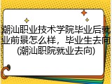 潮汕职业技术学院毕业后就业前景怎么样，毕业生去向(潮汕职院就业去向)