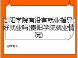 贵阳学院有没有就业指导，好就业吗(贵阳学院就业情况)
