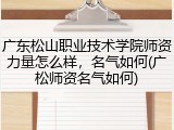 广东松山职业技术学院师资力量怎么样，名气如何(广松师资名气如何)