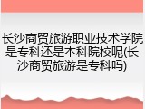 长沙商贸旅游职业技术学院是专科还是本科院校呢(长沙商贸旅游是专科吗)