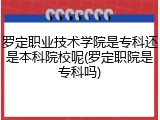 罗定职业技术学院是专科还是本科院校呢(罗定职院是专科吗)