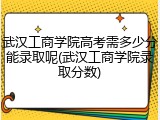 武汉工商学院高考需多少分能录取呢(武汉工商学院录取分数)