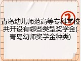青岛幼儿师范高等专科学校共开设有哪些类型奖学金(青岛幼师奖学金种类)