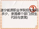 遂宁能源职业学院招生编码多少，隶属哪个部门(招生代码与隶属)