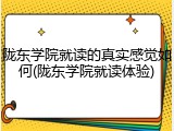 陇东学院就读的真实感觉如何(陇东学院就读体验)