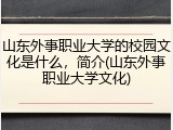 山东外事职业大学的校园文化是什么，简介(山东外事职业大学文化)