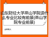 山东财经大学燕山学院读什么专业比较有前景(燕山学院专业前景)