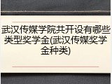 武汉传媒学院共开设有哪些类型奖学金(武汉传媒奖学金种类)