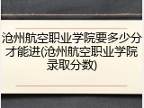 沧州航空职业学院要多少分才能进(沧州航空职业学院录取分数)