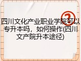 四川文化产业职业学院可以专升本吗，如何操作(四川文产院升本途径)