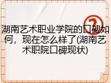 湖南艺术职业学院的口碑如何，现在怎么样了(湖南艺术职院口碑现状)