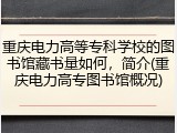 重庆电力高等专科学校的图书馆藏书量如何，简介(重庆电力高专图书馆概况)