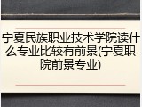 宁夏民族职业技术学院读什么专业比较有前景(宁夏职院前景专业)