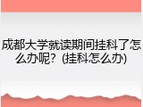 成都大学就读期间挂科了怎么办呢？(挂科怎么办)
