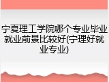 宁夏理工学院哪个专业毕业就业前景比较好(宁理好就业专业)