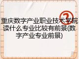 重庆数字产业职业技术学院读什么专业比较有前景(数字产业专业前景)
