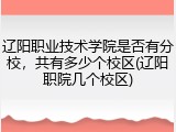 辽阳职业技术学院是否有分校，共有多少个校区(辽阳职院几个校区)