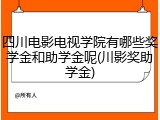 四川电影电视学院有哪些奖学金和助学金呢(川影奖助学金)