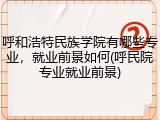 呼和浩特民族学院有哪些专业，就业前景如何(呼民院专业就业前景)